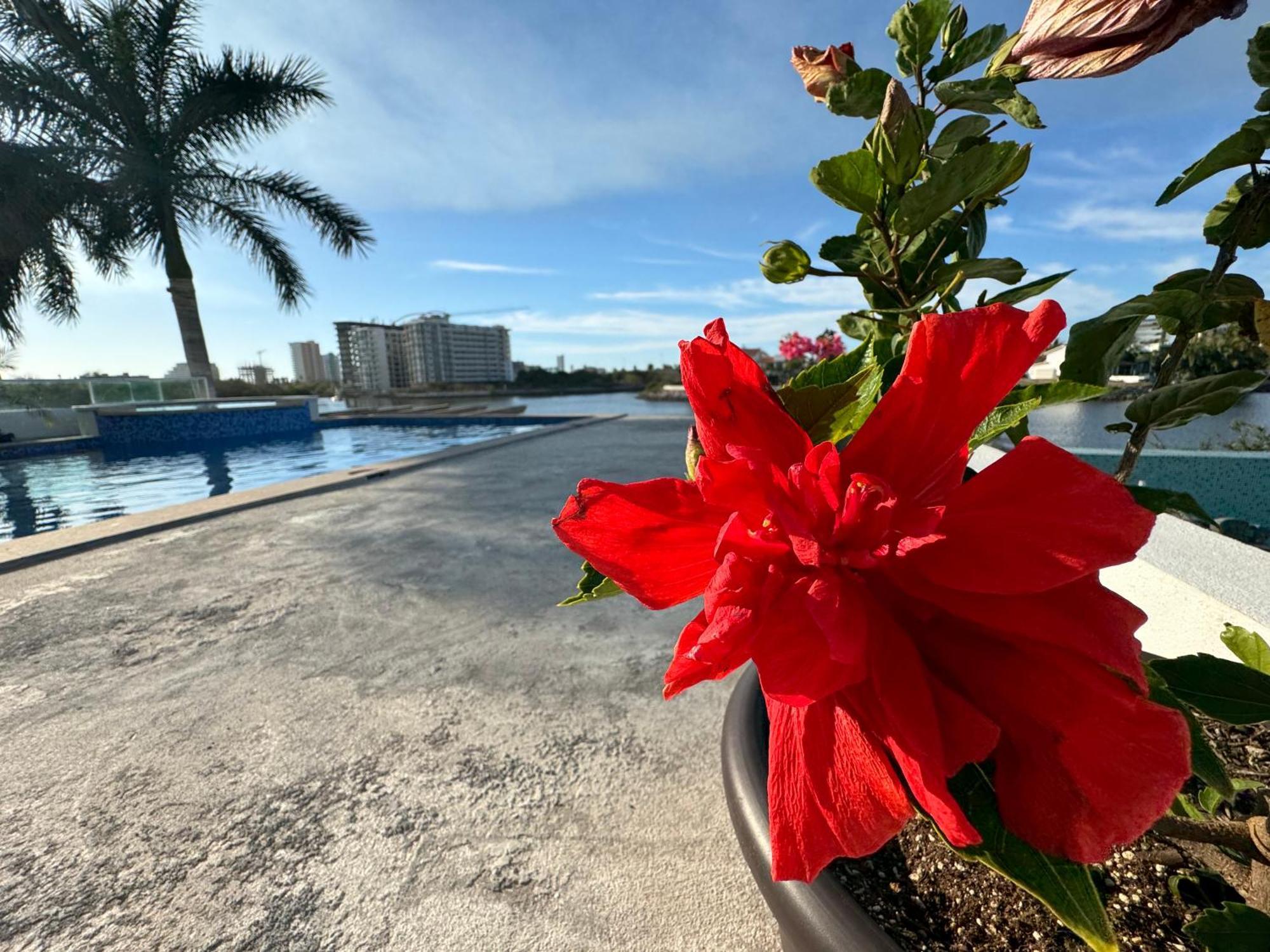 Villa Casa Isla Marina Vista Al Mar 20 Personas à Mazatlán Extérieur photo